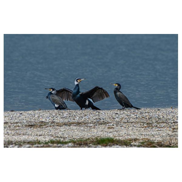 PHOTO84, CLUB, 84 , LUBERON